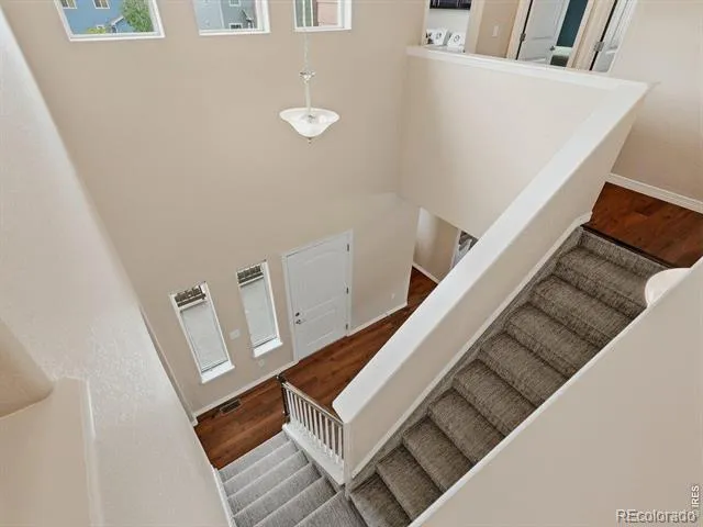 623 Goose Lake Court Windsor, CO 80550