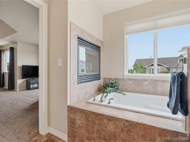 623 Goose Lake Court Windsor, CO 80550