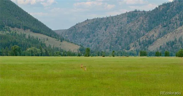 301 Wilder Mountain Road Almont, CO 81210