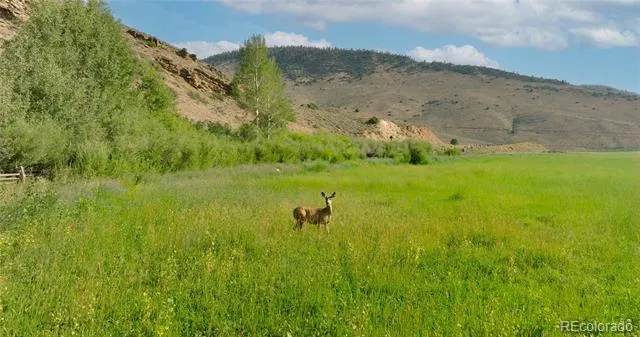 301 Wilder Mountain Road Almont, CO 81210