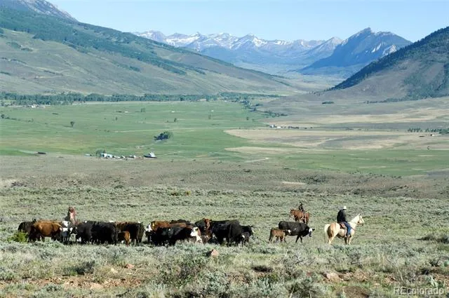 301 Wilder Mountain Road Almont, CO 81210