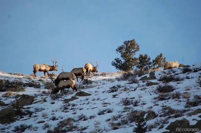 301 Wilder Mountain Road Almont, CO 81210