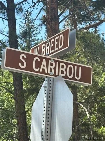 105 Caribou Street Nederland, CO 80466