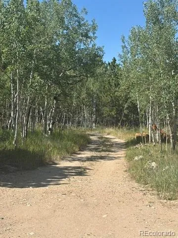 105 Caribou Street Nederland, CO 80466