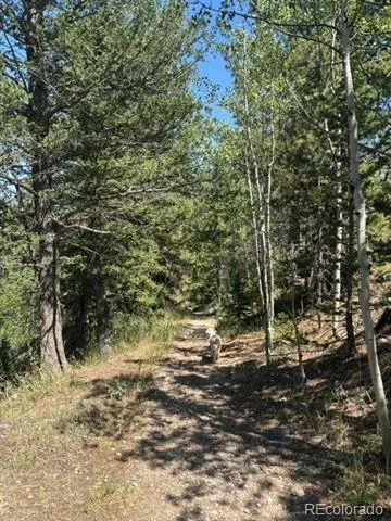 105 Caribou Street Nederland, CO 80466
