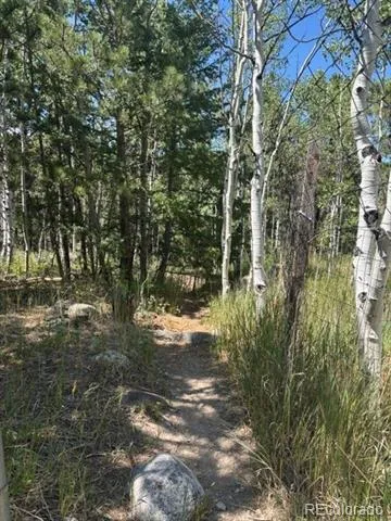 105 Caribou Street Nederland, CO 80466