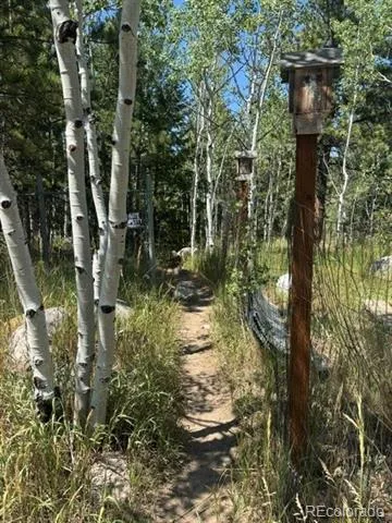 105 Caribou Street Nederland, CO 80466