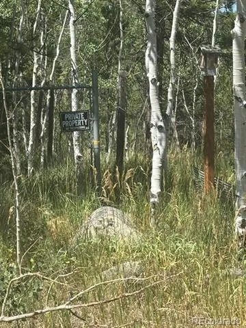 105 Caribou Street Nederland, CO 80466