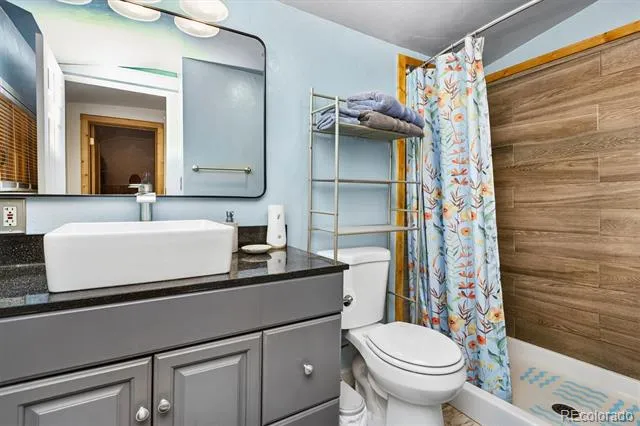 201 Mill Street Buena Vista, CO 81211