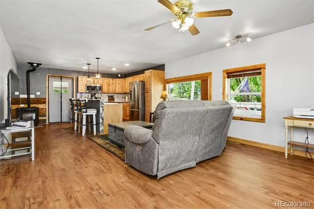 201 Mill Street Buena Vista, CO 81211