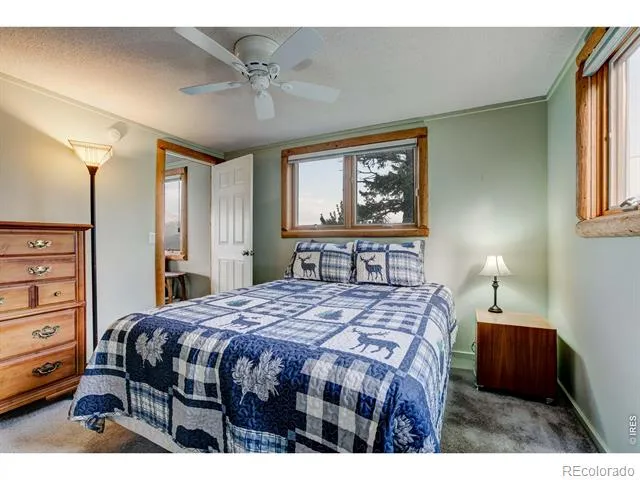 301 Pine Tree Drive Estes Park, CO 80517