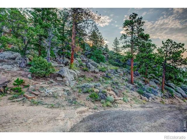 301 Pine Tree Drive Estes Park, CO 80517