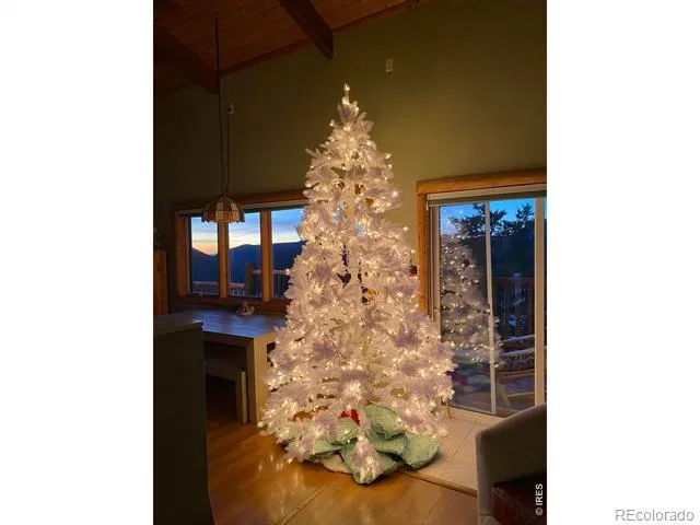 301 Pine Tree Drive Estes Park, CO 80517
