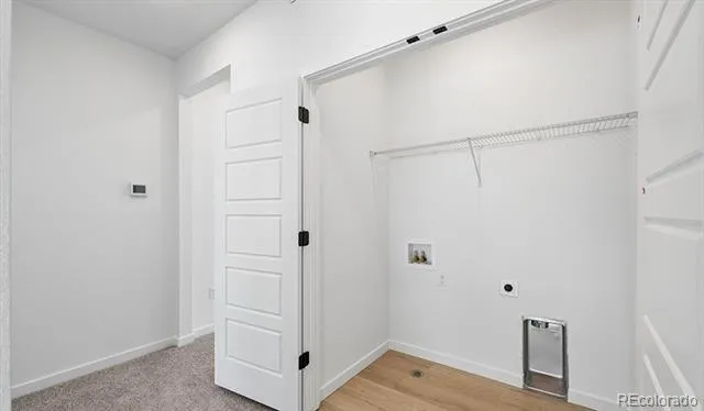 1254 Conlan Drive Erie, CO 80026