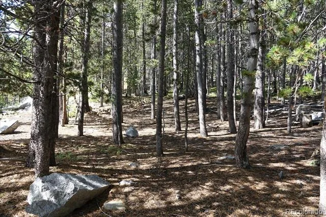 00 Upper Forest Rd Idaho Springs, CO 80452