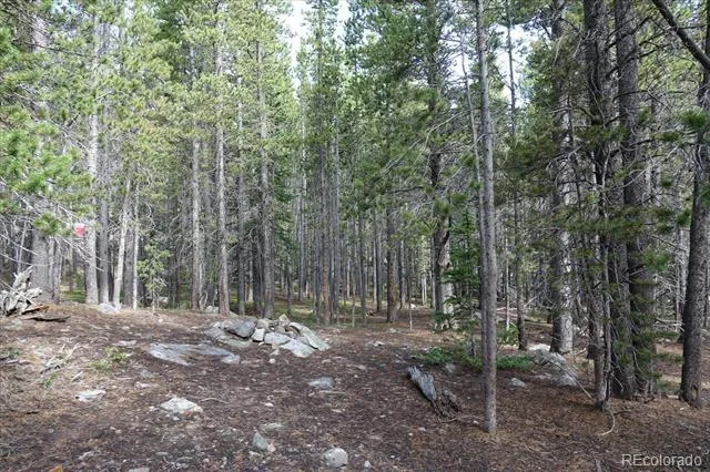 00 Upper Forest Rd Idaho Springs, CO 80452