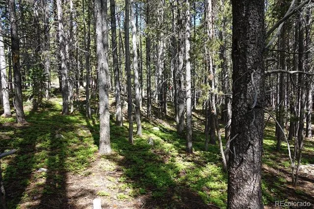 00 Upper Forest Rd Idaho Springs, CO 80452