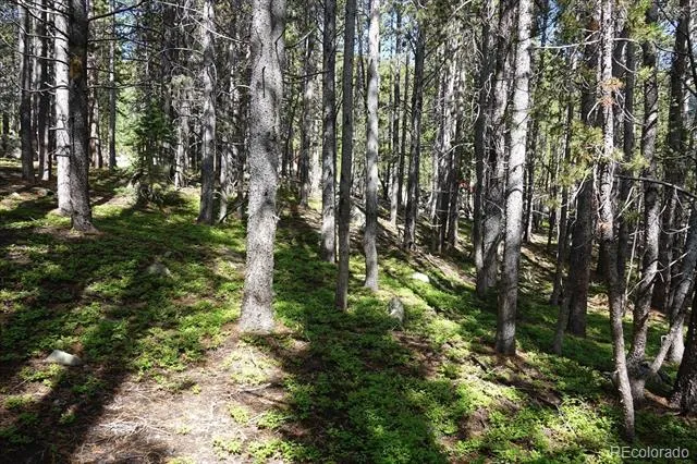 00 Upper Forest Rd Idaho Springs, CO 80452