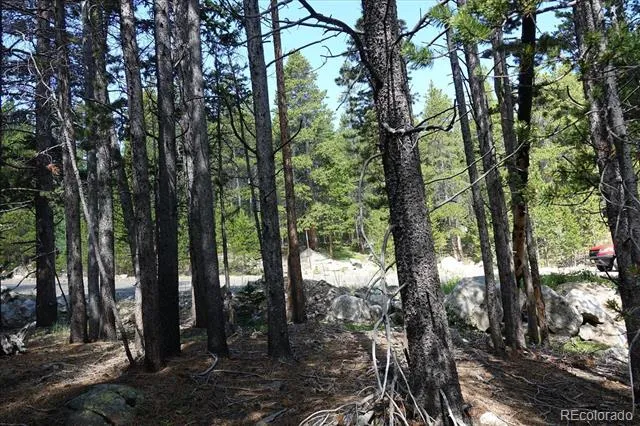 00 Upper Forest Rd Idaho Springs, CO 80452