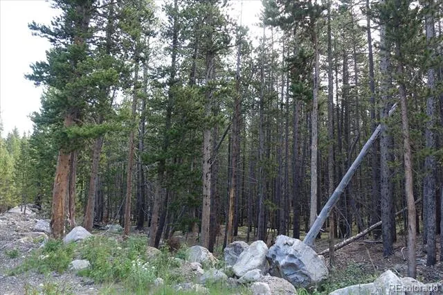 00 Upper Forest Rd Idaho Springs, CO 80452
