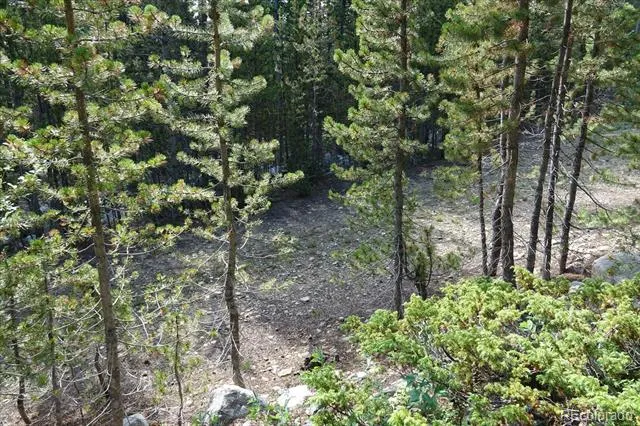 00 Upper Forest Rd Idaho Springs, CO 80452