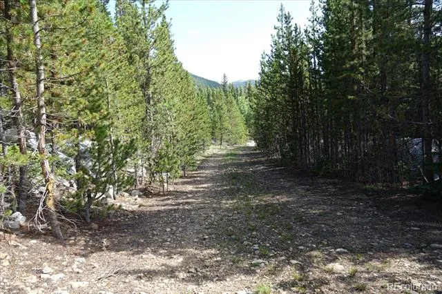 00 Upper Forest Rd Idaho Springs, CO 80452