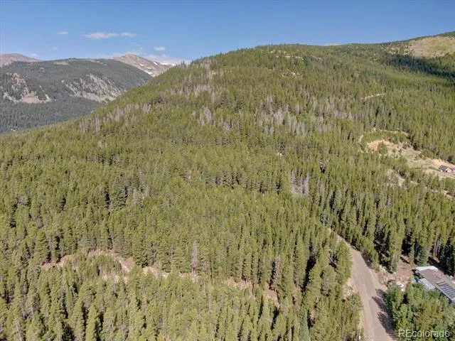 00 Upper Forest Rd Idaho Springs, CO 80452
