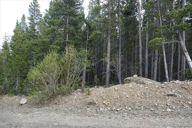 00 Upper Forest Rd Idaho Springs, CO 80452