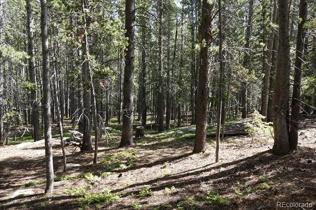 00 Upper Forest Rd Idaho Springs, CO 80452