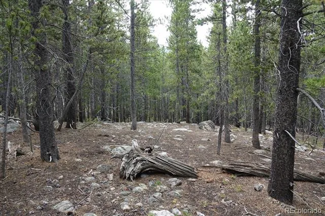 00 Upper Forest Rd Idaho Springs, CO 80452