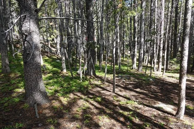 00 Upper Forest Rd Idaho Springs, CO 80452