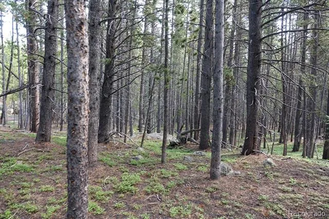 00 Upper Forest Rd Idaho Springs, CO 80452