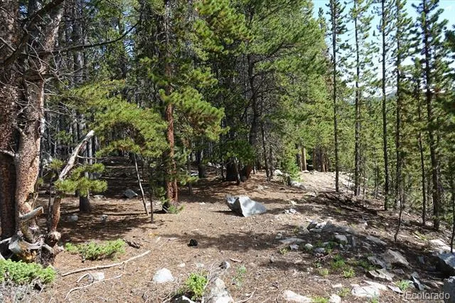 00 Upper Forest Rd Idaho Springs, CO 80452