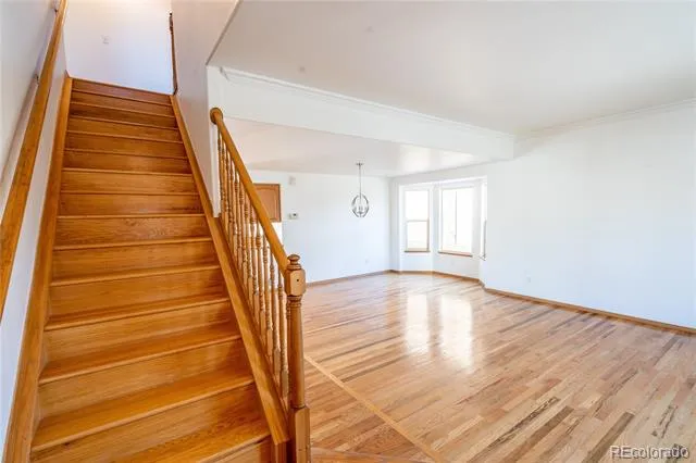 4169 Ascendant Drive Colorado Springs, CO 80922