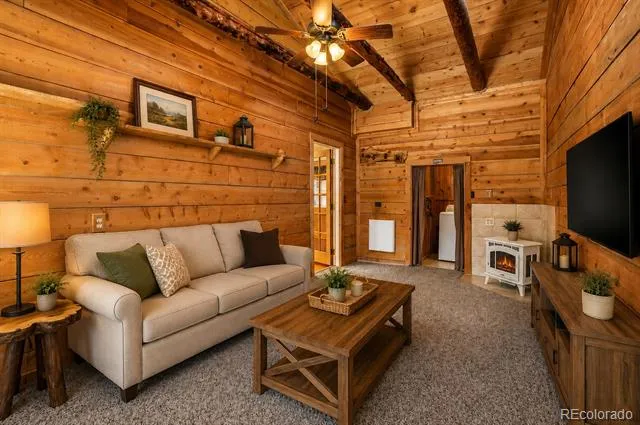 23 2nd Avenue Allenspark, CO 80510
