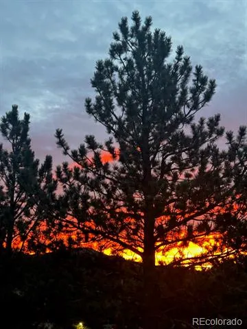 23 2nd Avenue Allenspark, CO 80510