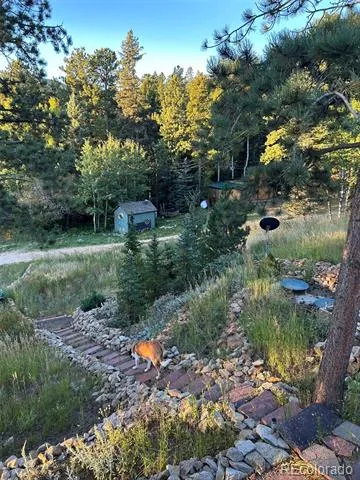 23 2nd Avenue Allenspark, CO 80510