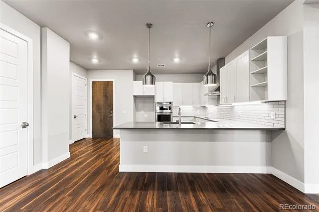 20 Wilcox Street #207 Castle Rock, CO 80104