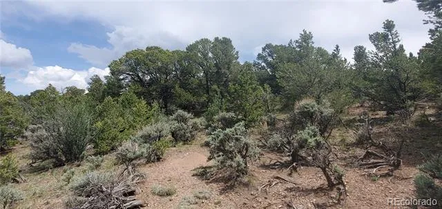 Lot 7853 Malott Road Fort Garland, CO 81133