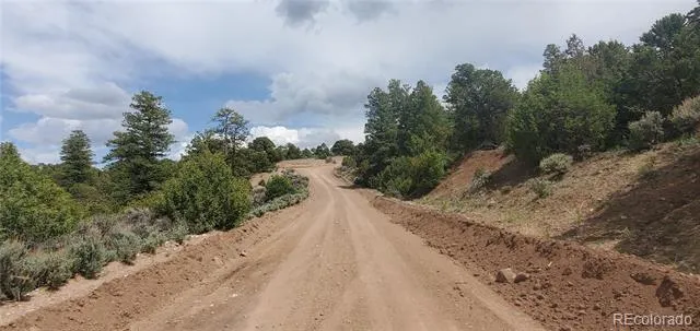 Lot 7853 Malott Road Fort Garland, CO 81133
