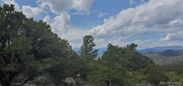 Lot 7853 Malott Road Fort Garland, CO 81133