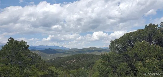 Lot 7853 Malott Road Fort Garland, CO 81133