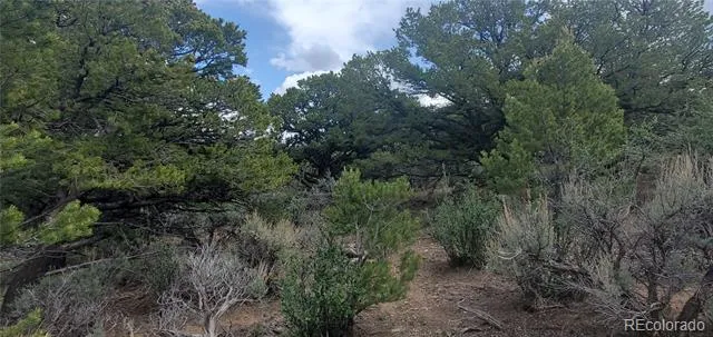 Lot 7853 Malott Road Fort Garland, CO 81133