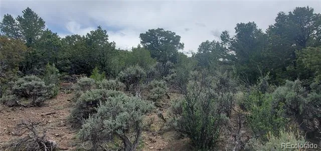 Lot 7853 Malott Road Fort Garland, CO 81133