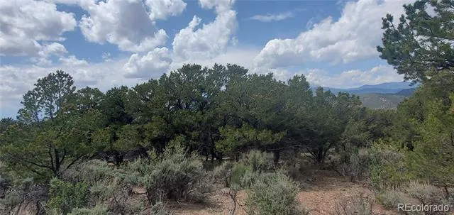 Lot 7853 Malott Road Fort Garland, CO 81133