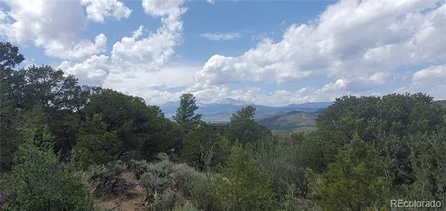 Lot 7853 Malott Road Fort Garland, CO 81133