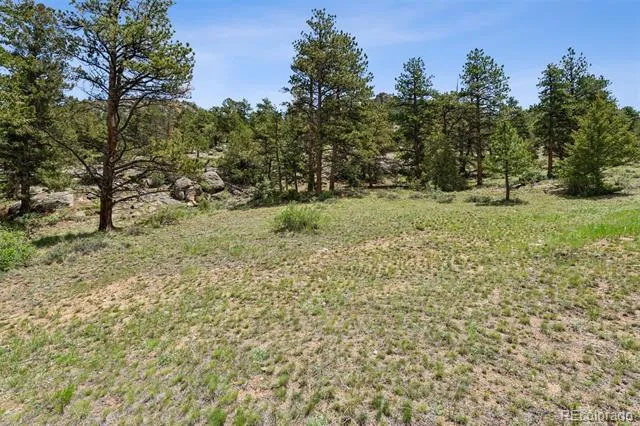 TBD Lot 42 Governors Lane Estes Park, CO 80517