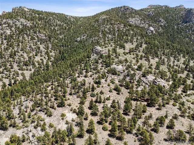 TBD Lot 42 Governors Lane Estes Park, CO 80517