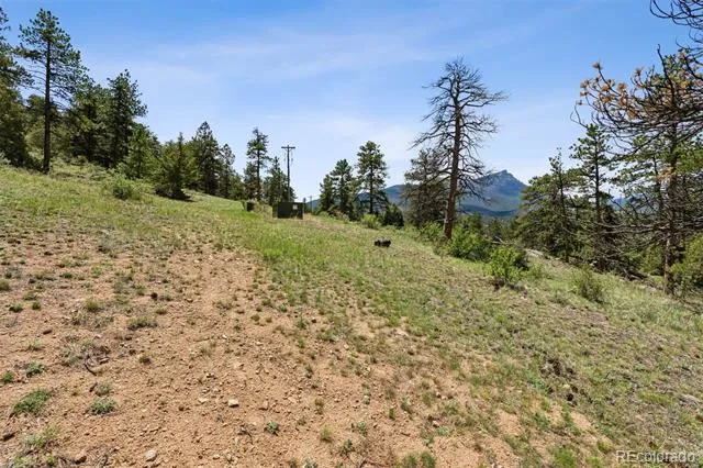 TBD Lot 42 Governors Lane Estes Park, CO 80517