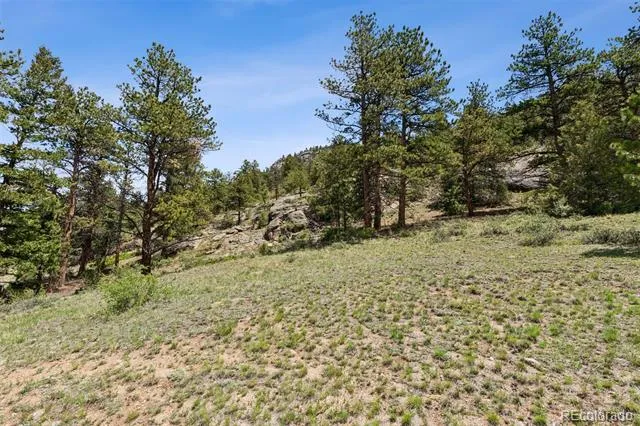 TBD Lot 42 Governors Lane Estes Park, CO 80517